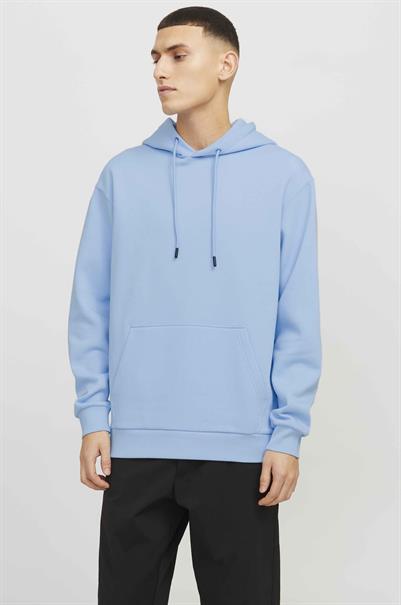 sweater heren | GIKS