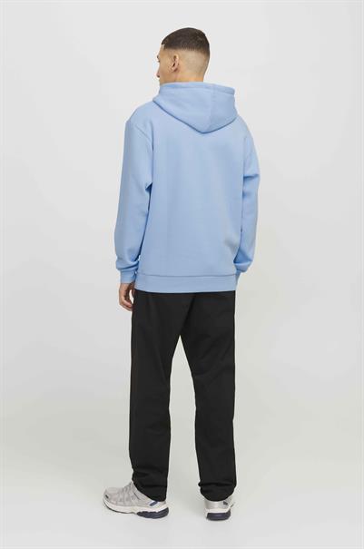 sweater heren | GIKS