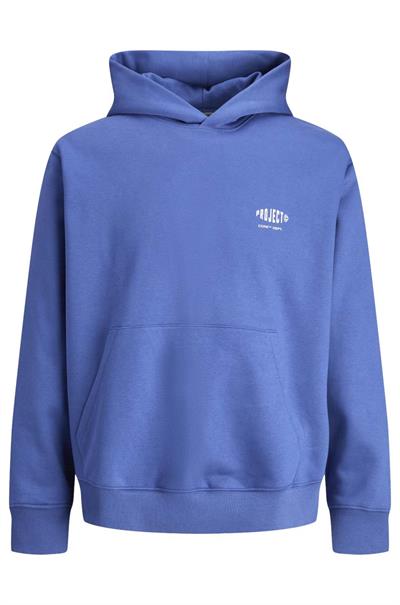 sweater heren | GIKS