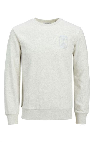sweater heren | GIKS