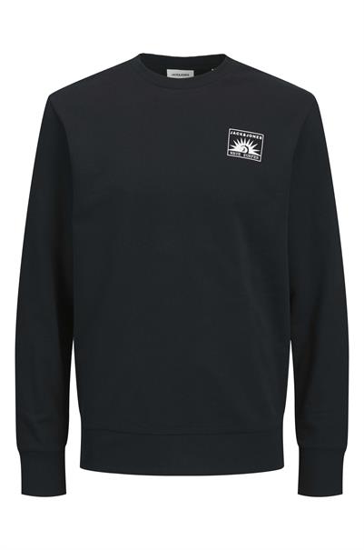 sweater heren | GIKS