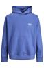 sweater heren | GIKS