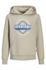 sweater jongens | GIKS