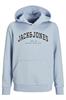 sweater jongens | GIKS