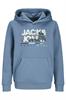 sweater jongens | GIKS
