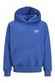sweater jongens | GIKS