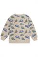 sweater jongens | GIKS