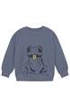 sweater jongens | GIKS