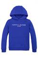 sweater jongens | GIKS
