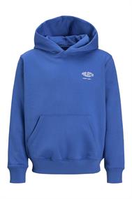 sweater jongens | GIKS