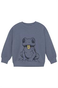 sweater jongens | GIKS