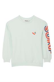 sweater jongens | GIKS