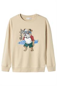 sweater jongens | GIKS