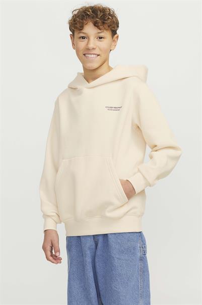 sweater jongens | GIKS