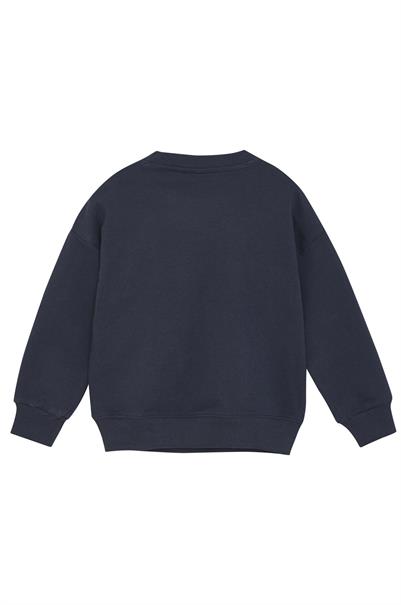 sweater jongens | GIKS