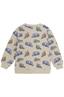 sweater jongens | GIKS