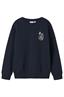 sweater jongens | GIKS
