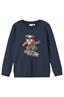 sweater jongens | GIKS