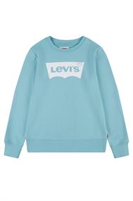 sweater jongens