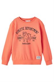 sweater jongens