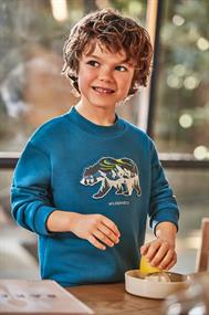 sweater jongens