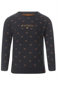 sweater jongens
