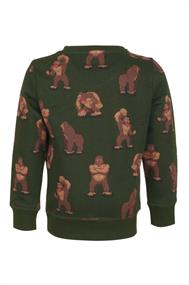 sweater jongens