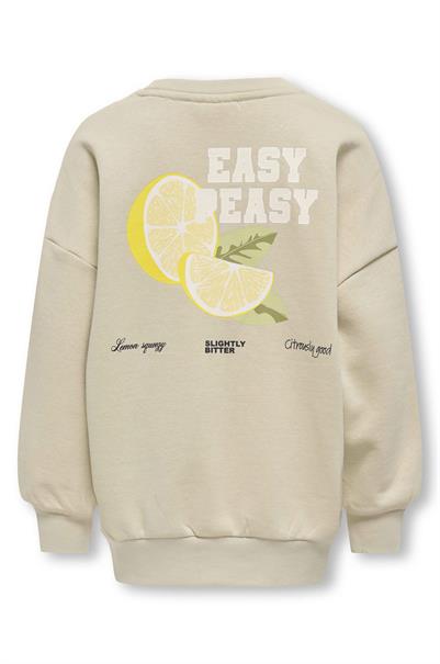sweater meisjes | GIKS