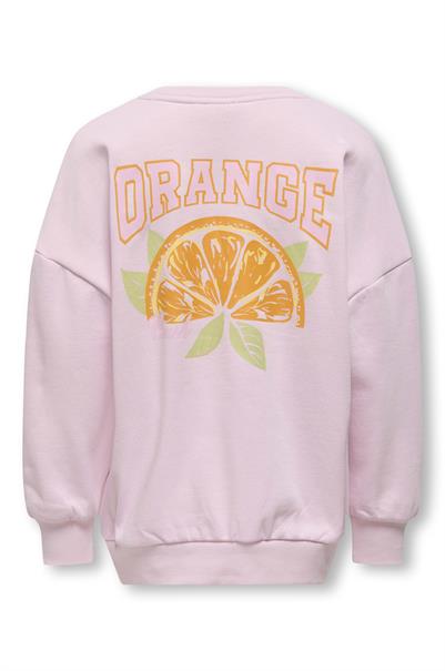 sweater meisjes | GIKS