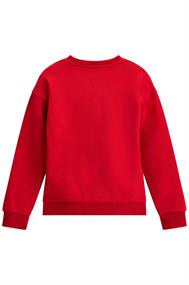 sweater meisjes