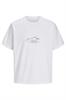 T-shirt heren | GIKS