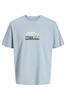 T-shirt heren | GIKS