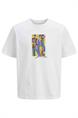 T-shirt heren | GIKS