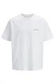 T-shirt heren | GIKS