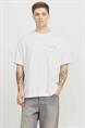 T-shirt heren | GIKS