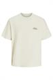 T-shirt heren | GIKS