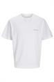 T-shirt heren | GIKS