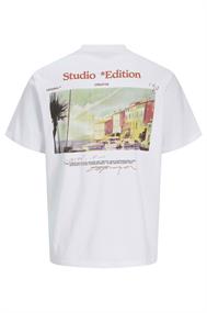 T-shirt heren | GIKS