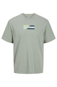 T-shirt heren | GIKS