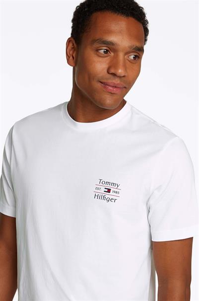 T-shirt heren | GIKS