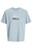 T-shirt heren | GIKS