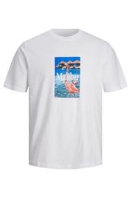 T-shirt heren