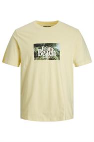 T-shirt heren