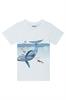 T-shirt jongens | GIKS