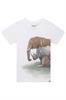 T-shirt jongens | GIKS