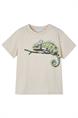 T-shirt jongens | GIKS