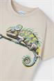 T-shirt jongens | GIKS