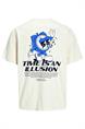 T-shirt jongens | GIKS
