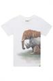 T-shirt jongens | GIKS