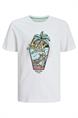 T-shirt jongens | GIKS